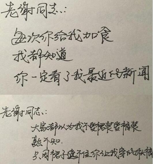 王珞丹字体.jpg